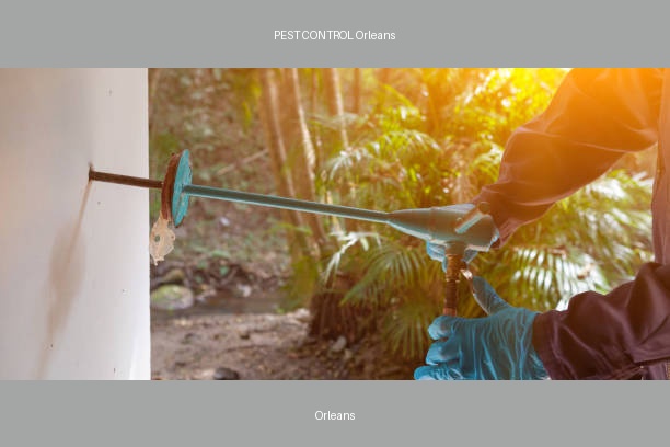 PEST CONTROL Orleans